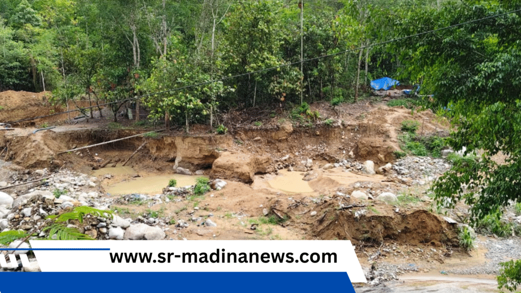 Peti di Aliran Sungai Batang Gadis Kian Marak, Ekosistem Rusak Parah