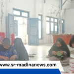 Penumbuhan WUB, lndustri Anyaman Pandan Digelar di Mandailing Natal.