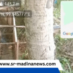 Papan Proyek Tak Terpasang, Pendamping Menghilang.