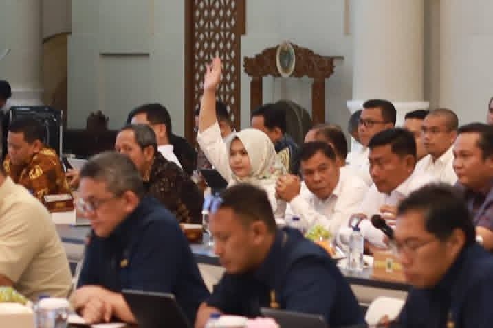 Wakil Bupati Madina Harapkan Bantuan Anggaran Dari Pemerintah Pusat