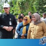 Wabup Madina Dampingi Staf Ahli Mentan Tinjau Sawah Terdampak Banjir