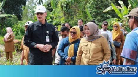 Wabup Madina Dampingi Staf Ahli Mentan Tinjau Sawah Terdampak Banjir