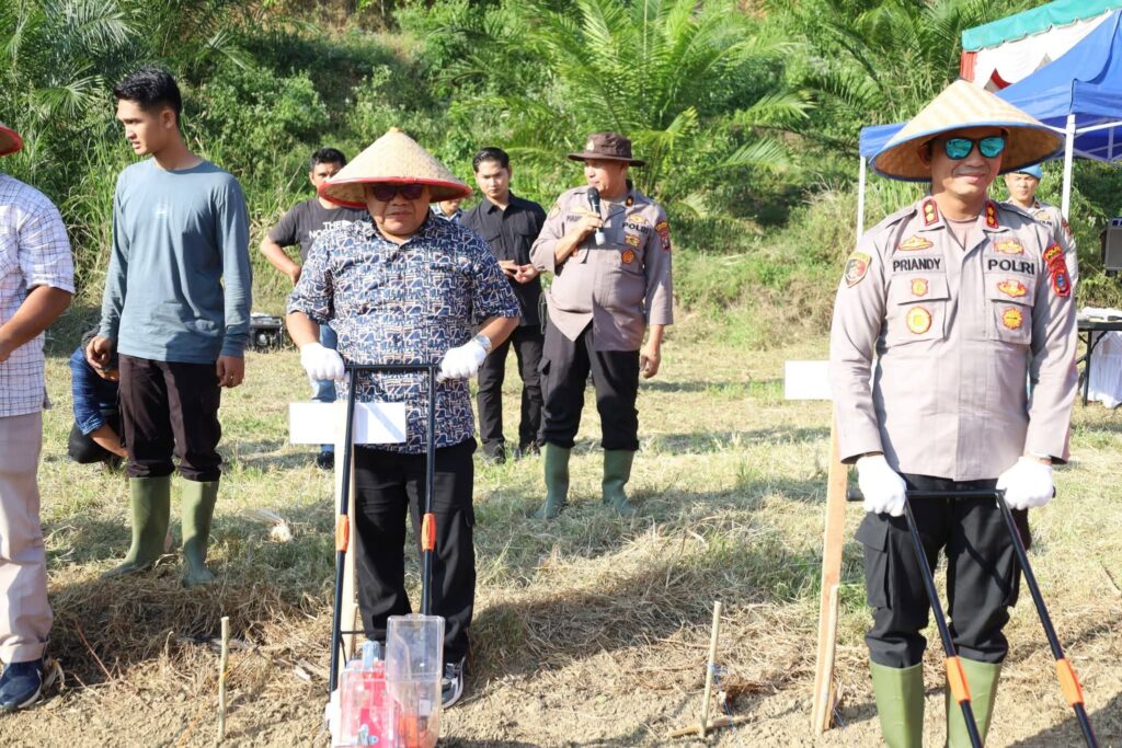 Tanam Jagung Serentak Bukti Pemkab Madina Menuju Swasemba Pangan