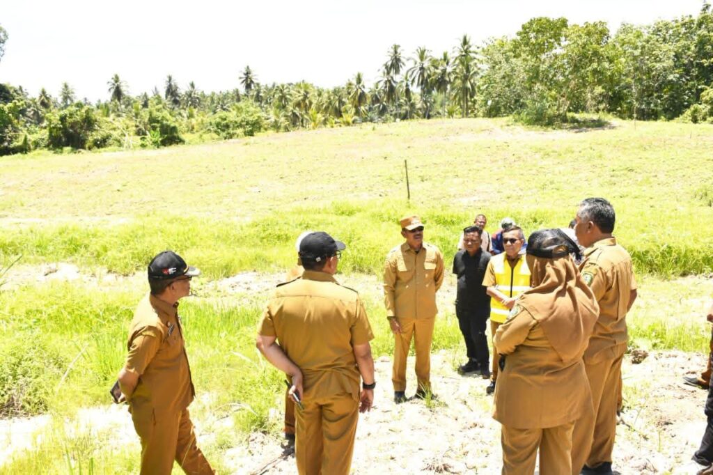 Bupati Saipullah, Dinas Pertanian Mulai Menanam Benih Pisang Kepok Di Hutatonga