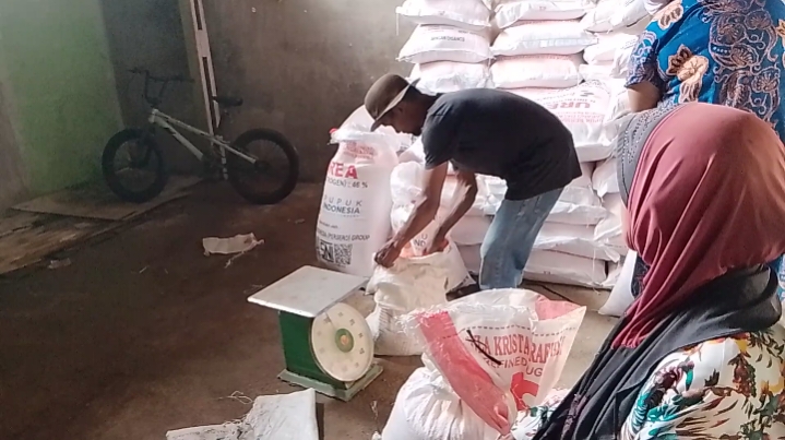 Petani Roburan Lombang Bernapas Lega, 10 Ton Pupuk Urea Akhirnya Disalurkan.